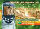 xxxaction.webp