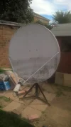 dish.webp