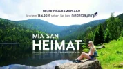 243.webp