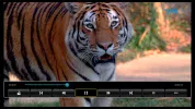 Encode_1080P_697.mp4_20220218_114707.706.webp