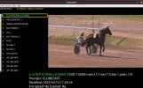 10.0E-feed.webp