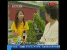 Service 2000 (1)08-07 06-44-50.webp