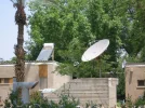 Valley Dish.webp
