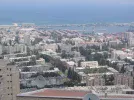 HaifaDishCity.webp