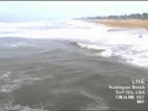 Surf City North.webp