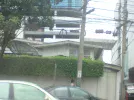 DSC00484.webp