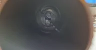 Septum_3.webp