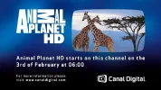 Animal Planet HD.webp