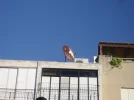 29012009 009.webp