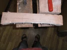 P1010022.webp