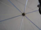 P1010050.webp