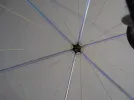 P1010050.webp
