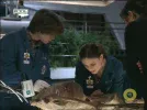 rtlklub.webp