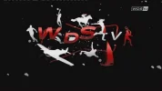 WDS07-22 14-51-33.webp