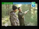 PV TV.webp