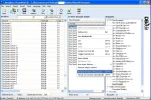 DBEdit Bouquet 3.webp