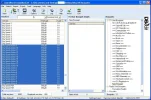 DBEdit Bouquet 1.webp