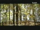 tvsh tokesor 10e.webp