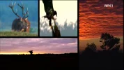 nrk1_hd3.webp