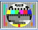 ptq.webp