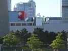 SN853368.webp
