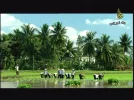 DIYALA09-13 19-53-35.webp