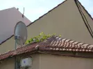30112020 068.webp
