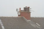 Image2.webp