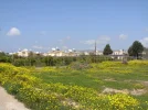 SN855045.webp