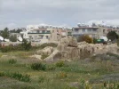 SN855139.webp