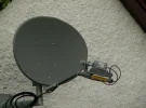 north coast dish.webp