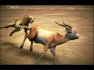 TEST1108-03 21-27-55.webp