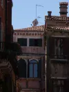 SN855475.webp