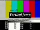 feed4 tc.webp