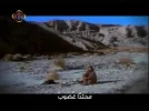CTV11-06 18-59-44.webp