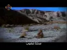 CTV11-06 18-59-44.webp