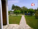 1tv 53e.webp