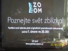 Prima ZOOM_23.5E (675 x 506).jpg.webp