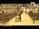 VLC_snapshot.webp