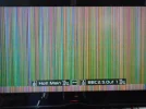 DSCN0505.webp