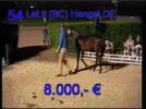 german tote 23.5e.webp
