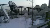 IMAG0655h.webp