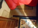 DSCN0619.webp