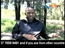 msg tv 9e.webp