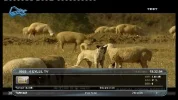 4 EYLUL TV.webp