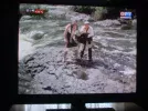 DSCF0134.webp