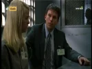 giallo 13e.webp