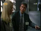 giallo 13e.webp