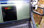 satf.webp