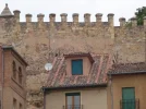 Sat Dish Sergovia 07.webp